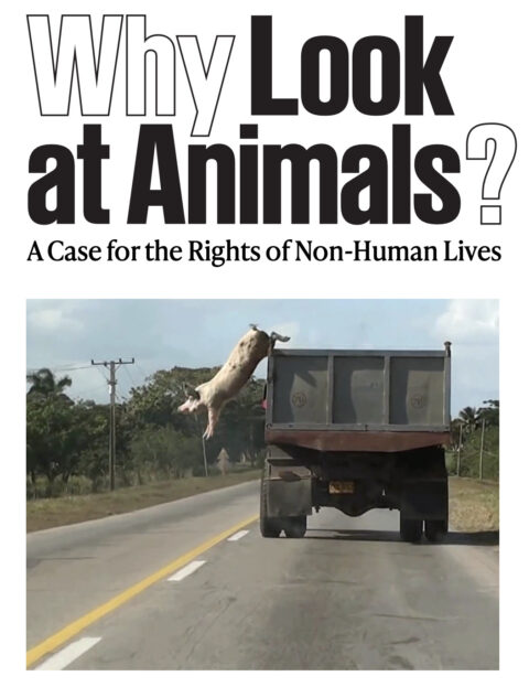 Why Look at Animals? EMST Athens 2025/26