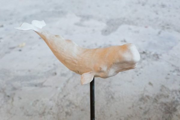 Petra Feriancová, Balena di S Lorenzo, 2020, Photo Annamaria La Mastra