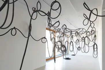 Iza Tarasewicz Common Arts Foundation 2025 5