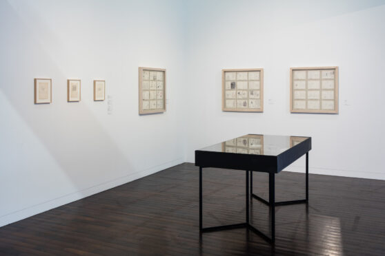 Drawing The World, Dan Perjovschi, Ludwig Forum Aachen