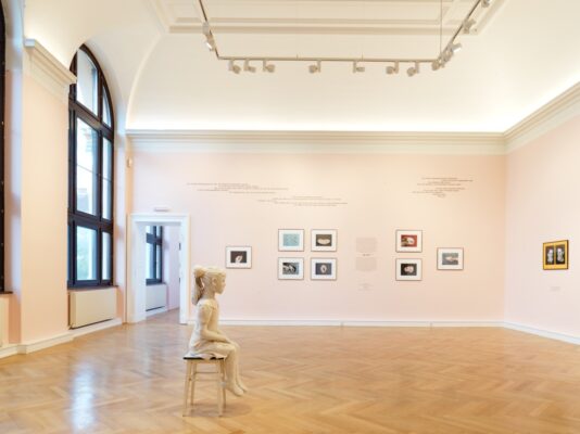 Aneta Grzeszykowska, Family Skin, installation view, 2020, Francsico Carolinum Linz