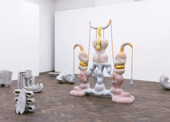 Éntomos, Anna Hulačová and Zsófia Keresztes, Exhibition view, City Gallery Prague, 2018-2019