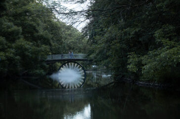 Danica Dakic, Flashback, Drachenbrücke im Bürgerpark. Grafik: Stadt Braunschweig Lichtparcours Braunschweig