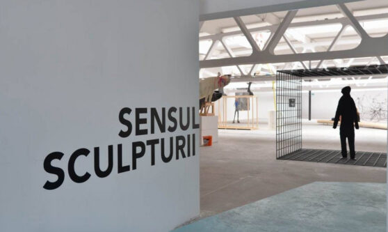 Kunsthalle Bega, The Meaning of Sculpture, Timișoara
