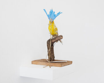 Petrit Halilaj, She, fully turning around, became terrestrial (Stolen Canary), 2013, in collaboration with Álvaro Urbano