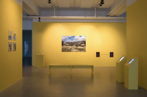 Kyriaki Goni, The Distance between our Eyes, 2023, Kunsthall Trondheim