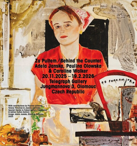 Behind the Counter, Telegraph Gallery, 2025/26, painting Adéla Janska