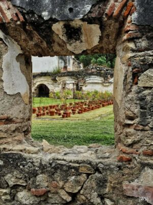 El ÁRBOL DEL MUNDO, 24 Bienal de Arte Paiz, Igor Grubić