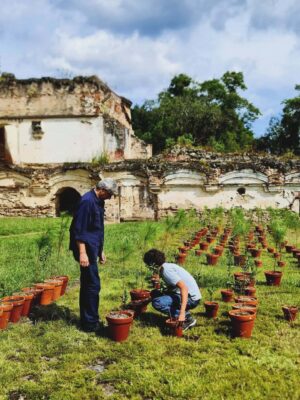 El ÁRBOL DEL MUNDO, 24 Bienal de Arte Paiz, Igor Grubić