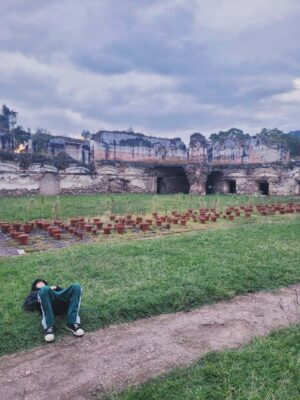 El ÁRBOL DEL MUNDO, 24 Bienal de Arte Paiz, Igor Grubić