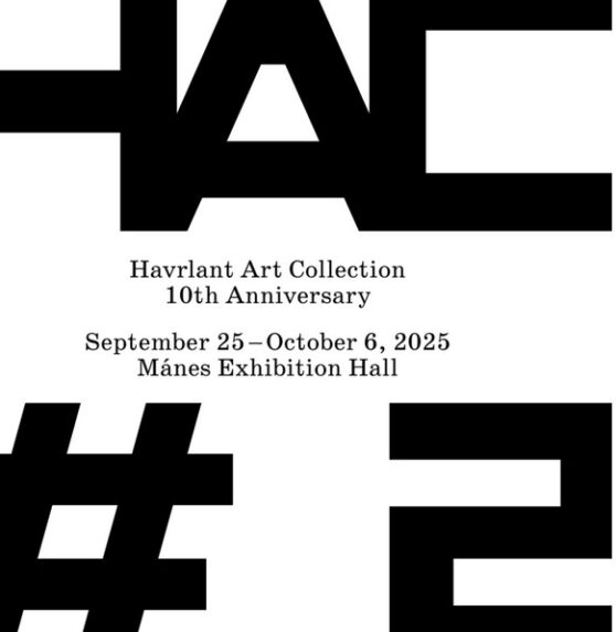 HAC#2, 2025