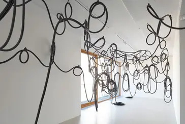 Iza Tarasewicz Common Arts Foundation 2025 5