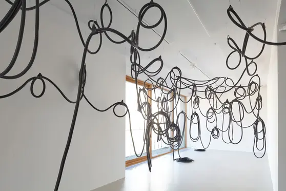 Iza Tarasewicz, Arena III, Exhibition view, Common Arts Foundation, Warsaw, photo Franciszek Buchner