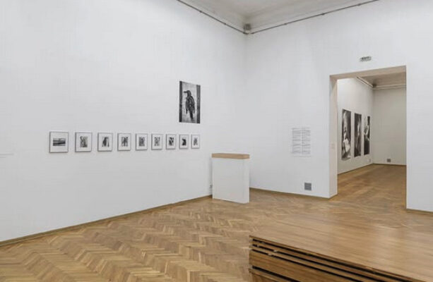 Nikita Kadan, Siren Sickle Satellite. installation view, National Art Museum of Ukraine. Kyiv, 2025