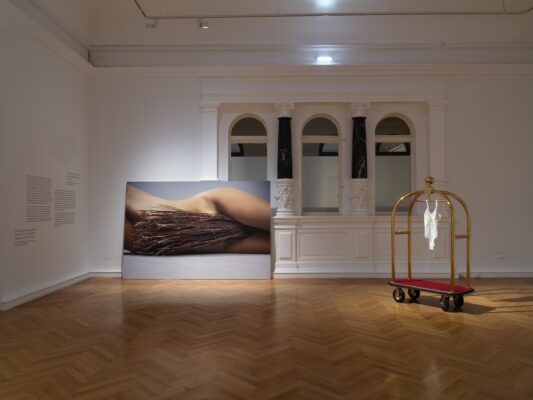 Šejla Kamerić, Ausstellungsansicht You, Who Can Fly, 2025, FC Linz, Foto: Michael Maritsch