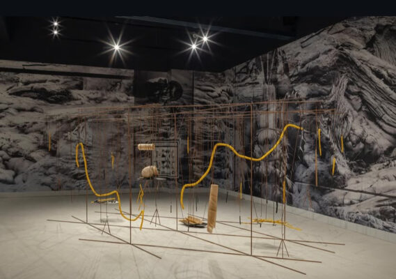 The Neurobiology of Love Installation view Krupa Art Foundation 2025