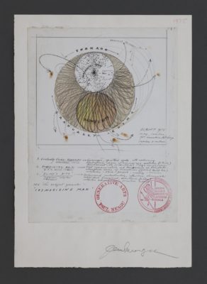 Paul Neagu, Cosmosizing Man (Impulses & Vectors), 1968–1975