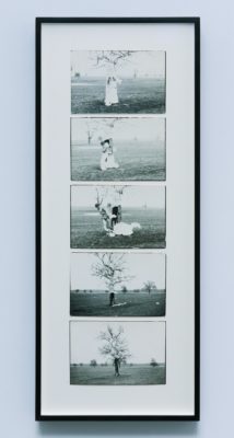 Dan Perjovschi, Action Tree, 1989