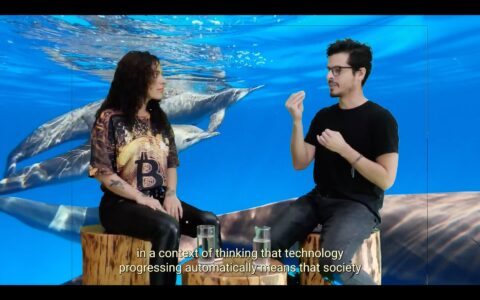 Anna Ehrenstein, Ecofairy Cryptotales, 2025, Video 42'04"