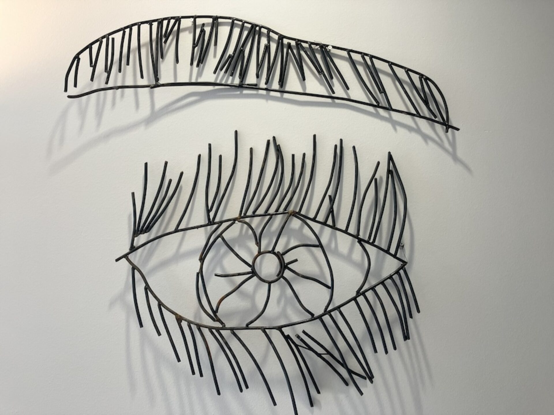 Petrit Halilaj, Abetare (Eye Lashes)