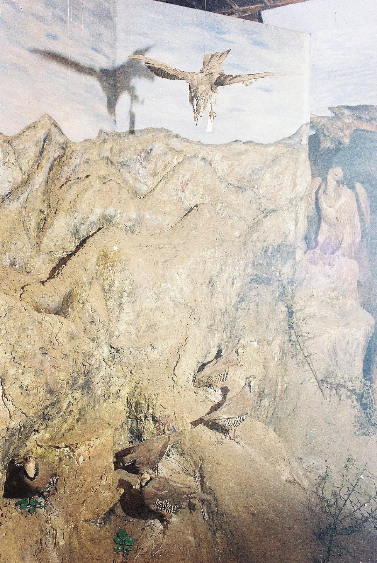 Petrit Halilaj, Special Edition (ex-Natural History Museum of Kosovo), 2013 (21/80)