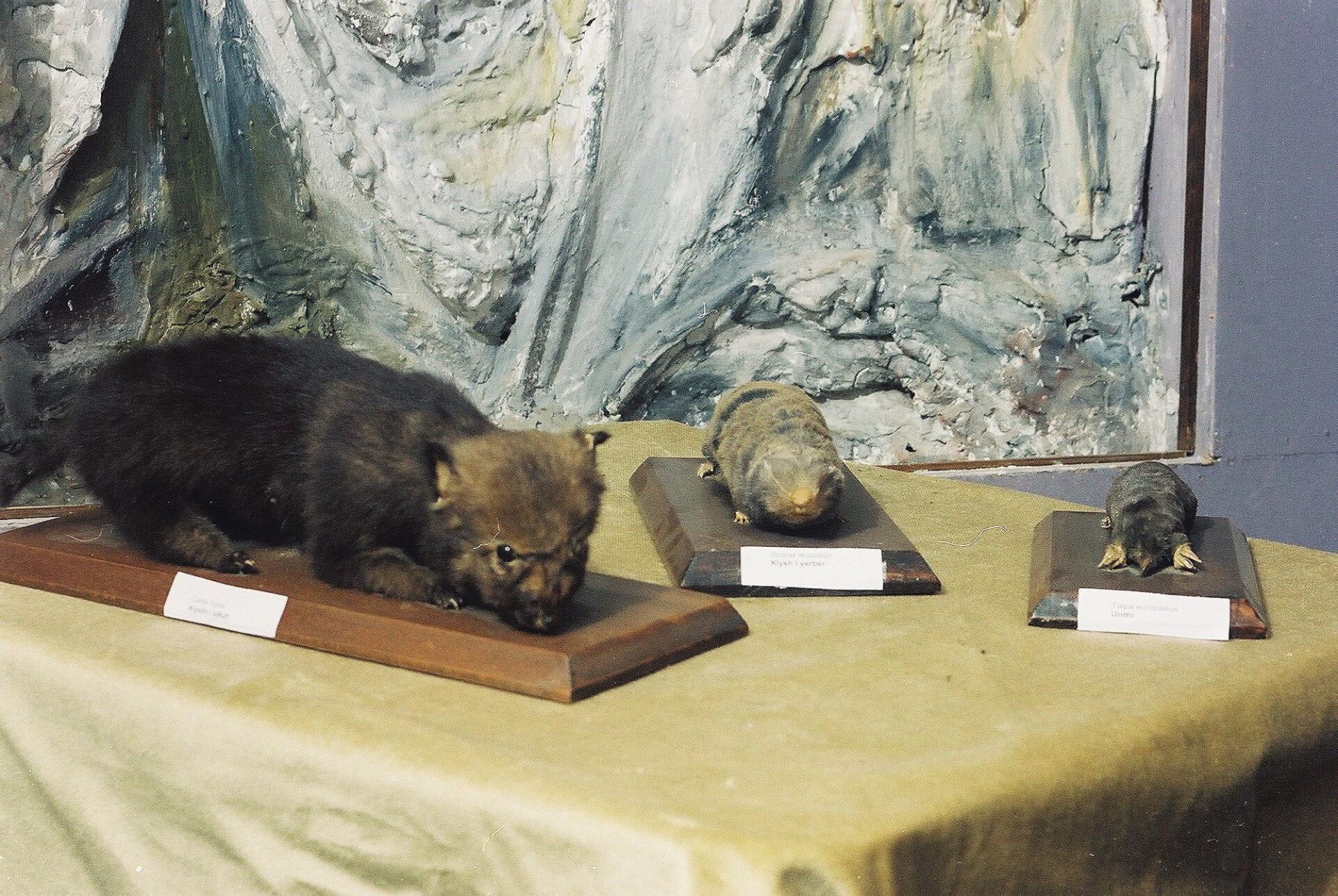 Petrit Halilaj, Special Edition (ex-Natural History Museum of Kosovo), 2013 (42/80)