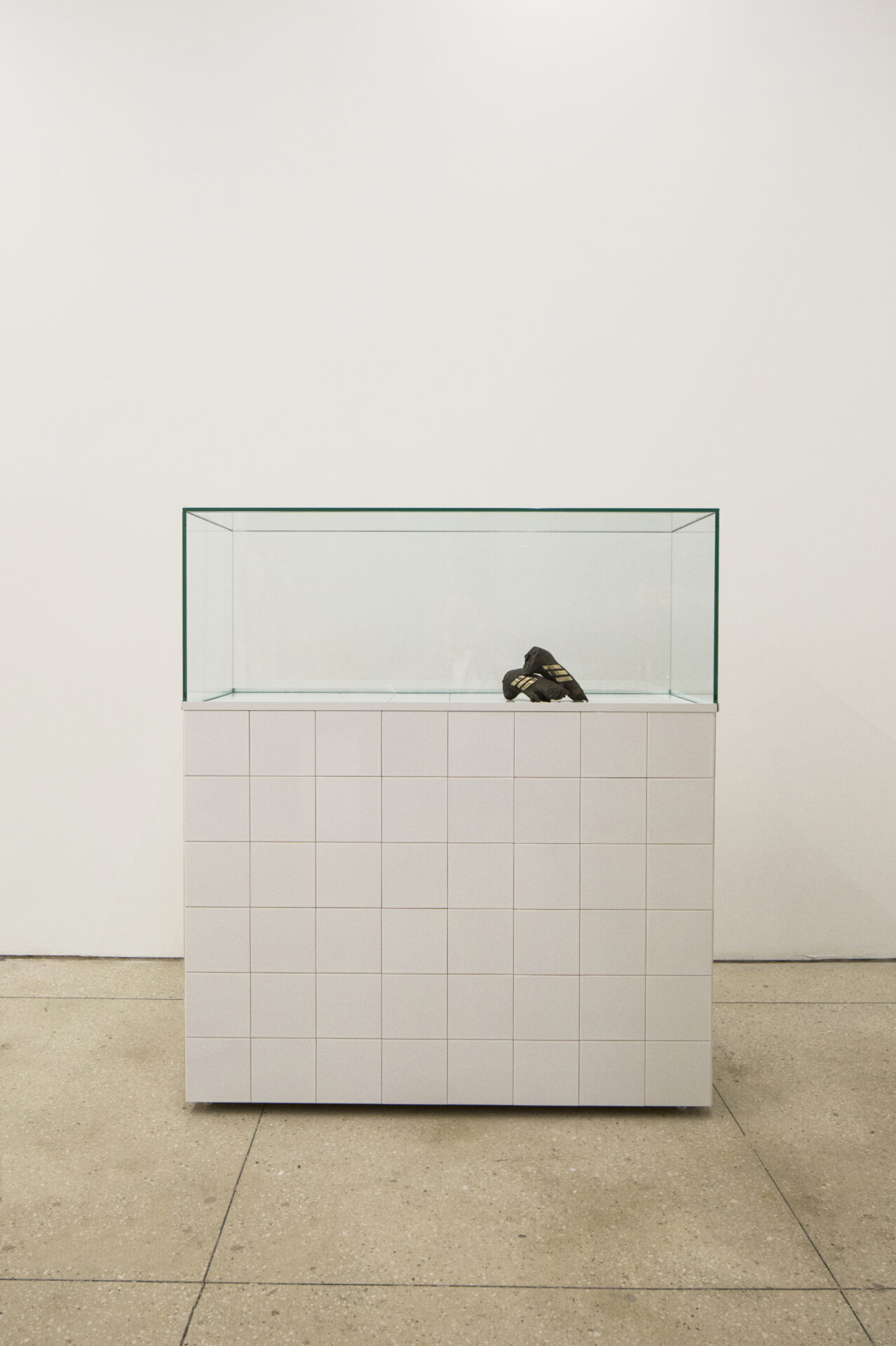 Vlad Nancã, Original Adidas, 2009-2019, Photo Sebastian Apostol