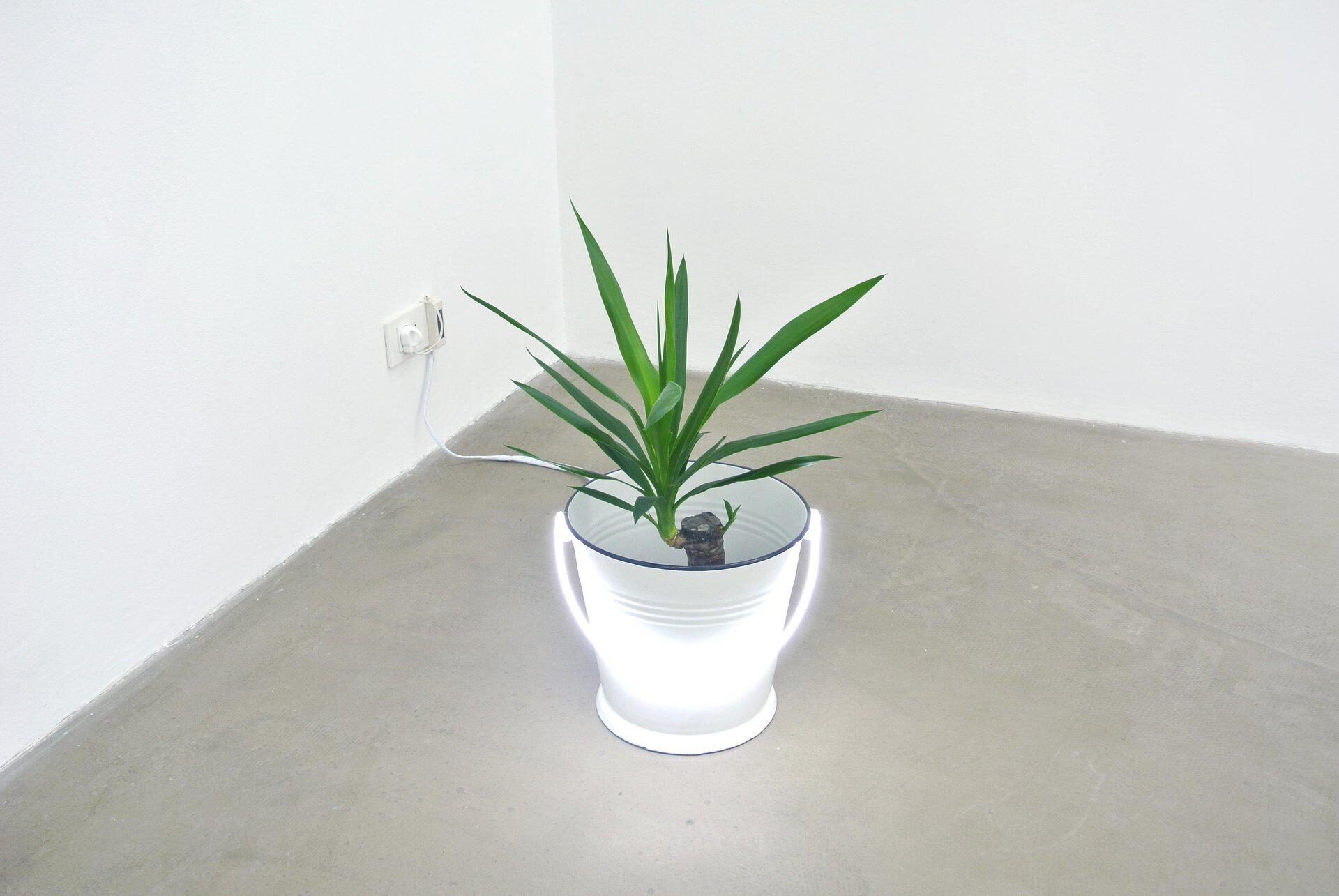 Vlad Nancã, Bucket II, 2013