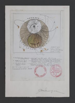 Paul Neagu, Cosmosizing Man (Impulses & Vectors), 1968–1975