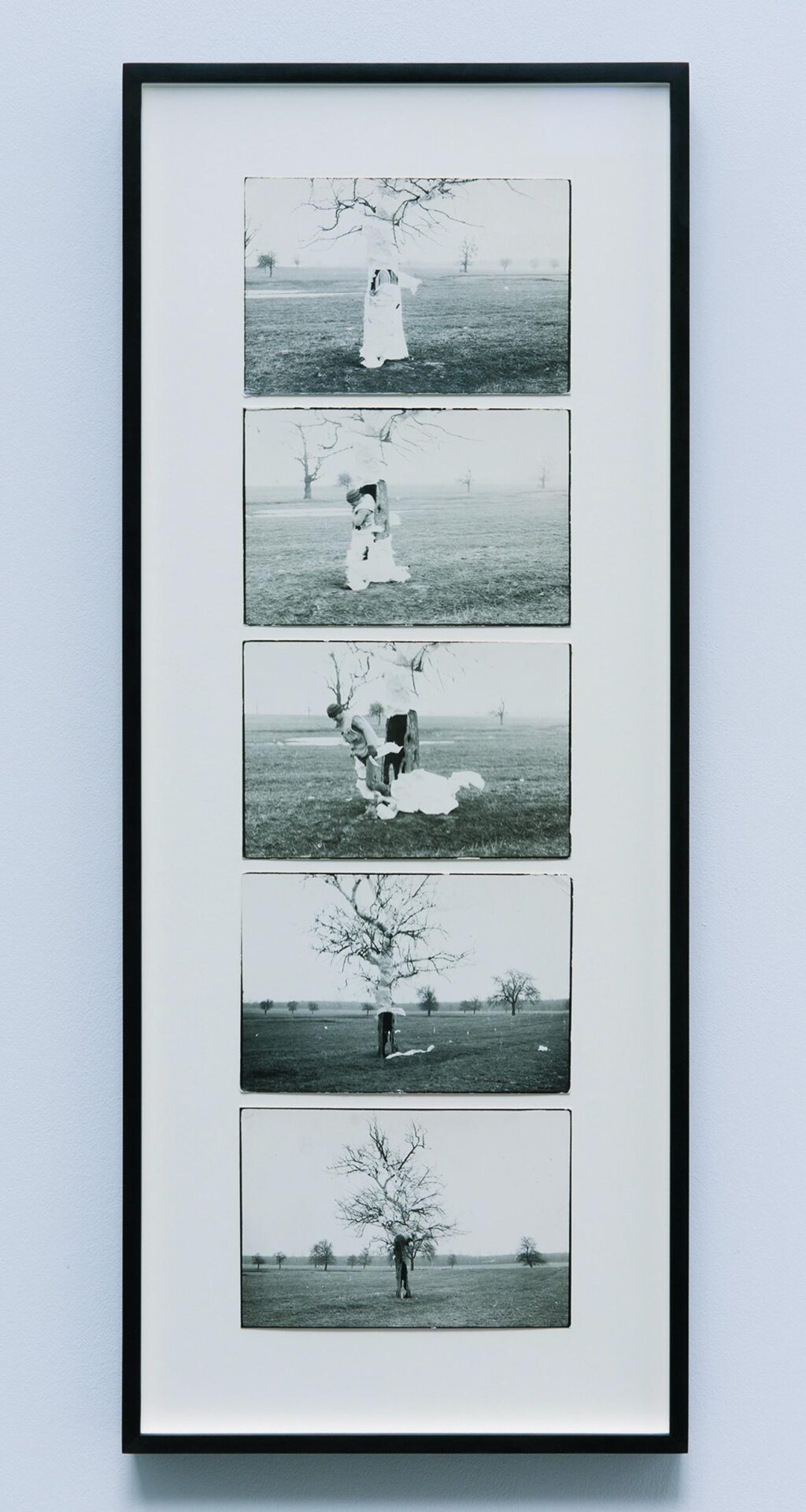 Dan Perjovschi, Action Tree, 1989