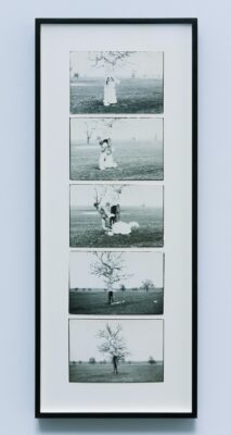 Dan Perjovschi, Action Tree, 1989
