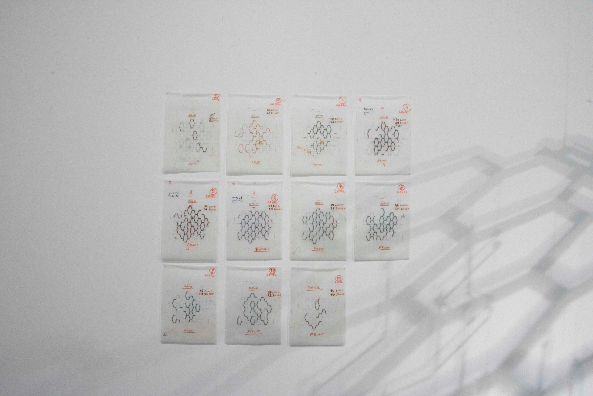 Iza Tarasewicz, Sketches ONCE INFORMATION HAS PASSED INTO PROTEIN, 2017